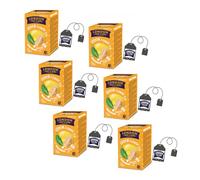 London Fruit® | Infusion Citron et Gingembre | Infusion Citron Gingembre et Citron Vert en Sachets Uniques Sans Caféine - 6 x 20 Filtres (240 Gr) | Infusion Digestive