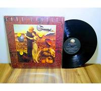 Lone Justice - LONE JUSTICE - SHELTER LP (11674)