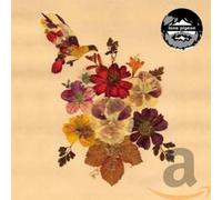 Lone Pigeon - Concubine Rice