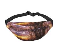 Lonely Bench Sac banane pour homme et femme en polyester imprimé avec sangle réglable pour voyage, marche, sport, Noir , Taille unique