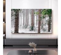 LONEU 42-100 Pouces TV Couverture Scène de Neige Tissu écran à Cristaux Liquides Housse De Protection Anti-poussière TV écran Protecteur Intérieur, LCD/LED TV Poussière Couvertur(Color:color14,Size:4