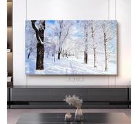 LONEU 42-100 Pouces TV Couverture Scène de Neige Tissu écran à Cristaux Liquides Housse De Protection Anti-poussière TV écran Protecteur Intérieur, LCD/LED TV Poussière Couvertur(Color:color24,Size:4