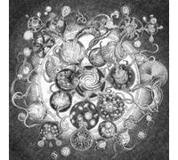 Long Distance Calling