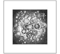 Long Distance Calling