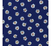 Long Good Bye [Import Allemand]