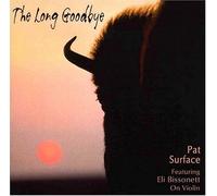 Long Goodbye by Pat Surface