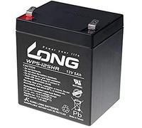 LONG PBLO-12V005-F2AH Batterie au plomb 12 V 5 Ah HighRate (WP5-12SHR F2)