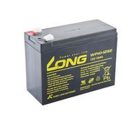 Long PBLO-12V010-F2AD Batterie au plomb 12 V 10 Ah DeepCycle AGM F2 (WP10-12SE)