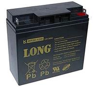 LONG PBLO-12V020-F3AD Batterie plomb-acide 12 V 20 Ah F3 DeepCycle (WP20-12IE) Noir