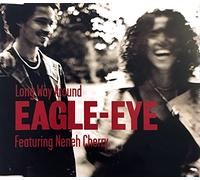 Long Way Around [Import]