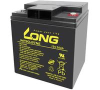 Long WP30-12TNE WP30-12TNE Batterie au plomb 12 V 30 Ah plomb (AGM) (l x H x P) 166 x 176 x 125 mm raccord à vis M6 résistant aux