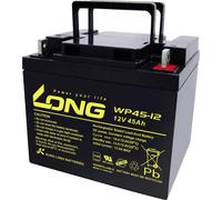 Long WP45-12 WP45-12 Batterie au plomb 12 V 45 Ah plomb (AGM) (l x H x P) 199 x 171 x 166 mm raccord à vis M6 certification VdS