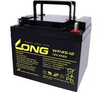 Long WP45-12 WP45-12 Batterie au plomb 12 V 45 Ah plomb (AGM) (l x H x P) 199 x 171 x 166 mm raccord à vis M6 certification VdS