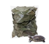 Longan Leaf Litière - 50 pièces de fournitures naturelles pour habitat sec, substrat bioactif simulant le sol, couche de décoration de vivarium tropical | Enclos environnementaux pour reptiles