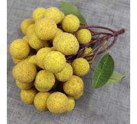Longane artificielle en grappe de fruits pour la décoration de la nourriture, la vente au détail, la décoration de la maison, la photographie et le merchandising visuel
