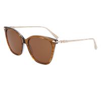 LONGCHAMP Femme LONGCHAMP LO757S 211 Lunettes de soleil Acétate Marron Carré Normale Normale