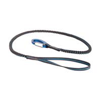 Longe Blue Ice Solo Leash bleu