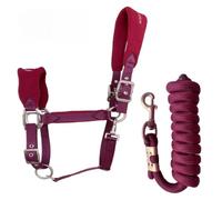 Longe Cheval Licol de bride de cheval rembourré anti-usure | Ensemble de corde de plomb réglable for cheval de 2M, accessoire d'entraînement équestre Durable(Medium Size)