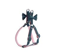 Longe Chien Animal De Compagnie Laisse Mode Deux Couleurs Correspondant Nœud Papillon Marche Chien Chat Harnais Rembourré Cordon Chien Fournitures Ceinture Chien(Blue,34-50cm)