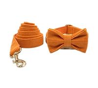 Longe Chien Boucle en Acier Inoxydable Durable Chien Chaîne Laisse Noeud Papillon Collier Fort Chien De Compagnie Or Argent Chaîne Plomb pour Chiens Ceinture Chien(23-30cm)