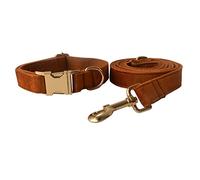 Longe Chien Boucle en Or Laisse De Chien Collier De Cou pour Animaux De Compagnie Boucle en Alliage Ensemble De Sécurité pour L'entraînement Quotidien À La Marche en Plein Air Ceinture Chien(33-51cm)