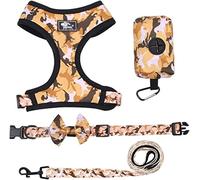 Longe Chien Chien Harnais Gilet Laisse Et Collier Ensemble pour Petits Chiens Sangle De Poitrine Réglable pour Animaux De Compagnie Laisse Réglable Ensemble Ceinture Chien(Oranje,29-40cm)