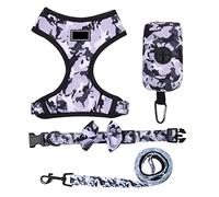 Longe Chien Chien Harnais Gilet Laisse Et Collier Ensemble pour Petits Chiens Sangle De Poitrine Réglable pour Animaux De Compagnie Laisse Réglable Ensemble Ceinture Chien(Purple,41-52cm)