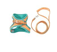 Longe Chien Chien Pet Harnais Et Laisse Ensemble Chiot Chats Gilet Harnais Collier pour Animaux De Compagnie Confortable Collier Collier Ceinture Chien(Oranje,46-59cm)