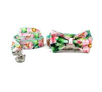 Longe Chien Collier De Chien Arc pour Petits Chiens Gravure Personnalisée Collier pour Animaux De Compagnie Impression Durable Collier Réglable Et Ensemble De Laisse Ceinture Chien(49-55cm)