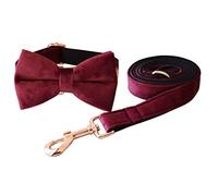 Longe Chien Collier De Chien en Nylon Personnalisé Laisse Harnais Merde Sac Ensemble Colliers De Chien Imprimés Réglables pour Animaux De Compagnie Ceinture Chien(33-51cm)