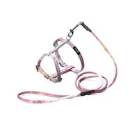 Longe Chien Corde De Traction Anti-Break Away, Type De Gilet De Marche en Corde Collier De Chaîne Rétractable Fournitures pour Animaux De Compagnie Ceinture Chien(A,25-30cm)