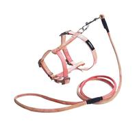 Longe Chien Corde De Traction Anti-Break Away, Type De Gilet De Marche en Corde Collier De Chaîne Rétractable Fournitures pour Animaux De Compagnie Ceinture Chien(Oranje,15-20cm)