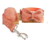 Longe Chien Costume Noeud Papillon Collier De Chien Gravure Personnalisée Colliers De Chien en Nylon pour Fille Garçon Chiens Laisse Réglable Ceinture Chien(23-30cm)