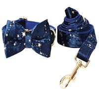 Longe Chien Ensemble Collier Et Laisse pour Chien Réglable Étoiles Scintillantes Dorées Collier D'identification Personnalisé pour Animal De Compagnie avec Nœud Papillon Ceinture Chien(27-41cm)