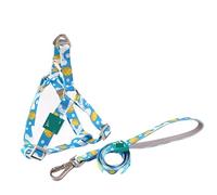 Longe Chien Ensemble De Ceinture De Collier De Chien En Polyester Ensemble De Corde De Traction Pour Sangle De Poitrine Pour Animaux De Compagnie Harnais De Ceinture De Sécurité Ceinture Chien(Blue,50