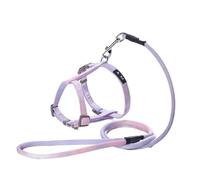 Longe Chien Ensemble De Collier De Harnais De Poitrine De Corde De Traction pour Animaux De Compagnie Corde De Traction Sûre Et Durable Ceinture Chien(Purple,15-20cm)