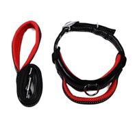 Longe Chien Ensemble De Laisse De Collier De Chien De Compagnie en Nylon Laisses D'entraînement Réglables Colliers De Sécurité pour Petits Chiens De Taille Moyenne Ceinture Chien(Rot,2.5cm*120cm)