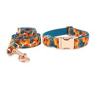 Longe Chien Ensemble de Laisse de Collier pour Animaux de Compagnie en Or Rose imprimé Collier Confortable Collier Fournitures pour Animaux de Compagnie Collier de Chien Doux Ceinture Chien(23-30cm)
