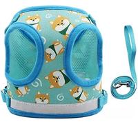 Longe Chien Gilet De Sangle De Poitrine Corde De Traction Réfléchissante pour Animaux De Compagnie Marche Petit Et Collier Laisse De Chien Harnais Laisses De Plomb Ceinture Chien(Blue,40-44cm)