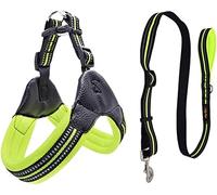 Longe Chien Harnais pour Chien en Maille De Nylon Respirant Harnais Et Laisse Réglables Réfléchissants pour Chien pour Chien Laisse pour Animaux De Compagnie Ceinture Chien(Grün,55-60cm)