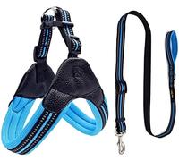 Longe Chien Harnais pour Chien en Maille De Nylon Respirant Harnais Et Laisse Réglables Réfléchissants pour Chien pour Chien Laisse pour Animaux De Compagnie Ceinture Chien(Blue,41-45cm)