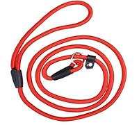 Longe Chien Laisse De Chien De Compagnie Corde en Nylon Réglable Laisse De Formation Laisse De Chien De Compagnie Sangle De Chien Corde De Traction Harnais De Chien Ceinture Chien(Rot,10MM*140CM)