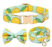 Longe Chien Laisse De Collier De Chien De Compagnie Détachable Et Réglable Collier De Collier Confortable Fournitures pour Animaux De Compagnie Collier De Chien Doux Ceinture Chien(20-30cm)