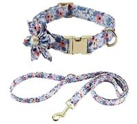 Longe Chien Laisse de collier pour animaux de compagnie pour animaux de compagnie collier de chien doux collier de chien réfléchissant et ensemble de laisse réglable laisse de collier de chien de comp