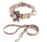 Longe Chien Laisse de collier pour animaux de compagnie pour animaux de compagnie collier de chien doux collier de chien réfléchissant et ensemble de laisse réglable laisse de collier de chien de comp