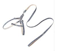 Longe Chien Plaid Pet Laisse Chien Chats Harnais Ensemble Chien Marche Corde Réglable en Nylon Chihuahua Collier De Chien Sangle De Poitrine Ceinture Chien(Blue,30-45cm)