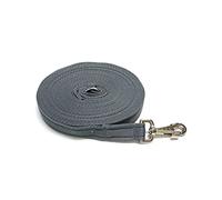 Longe de dressage pour cheval de 3 m, sangle rembourrée de 25 mm et déclencheur robuste à clipser (argent/gris)