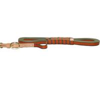 Longe de pistage Niggeloh Orange Blaze/ vert