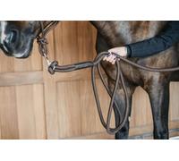 Longe d'entrainement Dyon avec mousqueton détachable Brun WBD