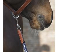 Longe équitation Antarès Marron TU
